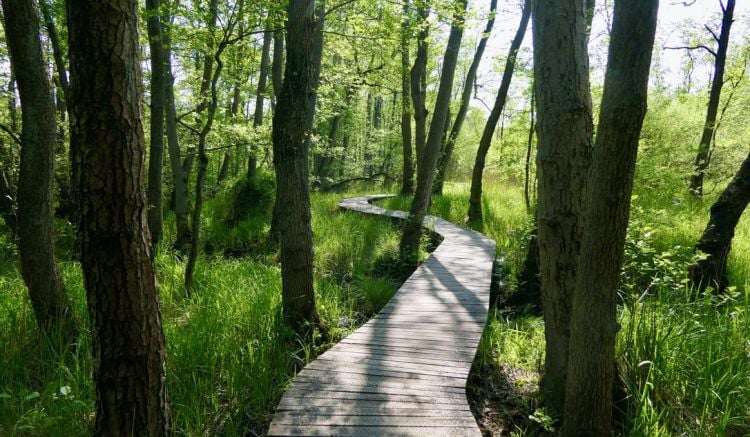 Top 5 losloopgebieden Limburg welkoop